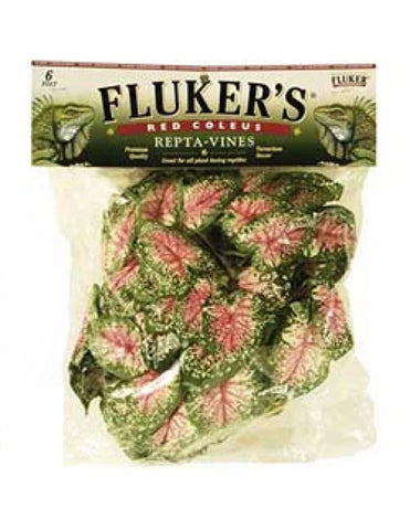 Fluker Labs - Repta-Vine Red Coleus