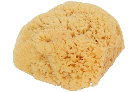 BASS BRUSHES - Natural Sea Sponge Large - 1 Sponge