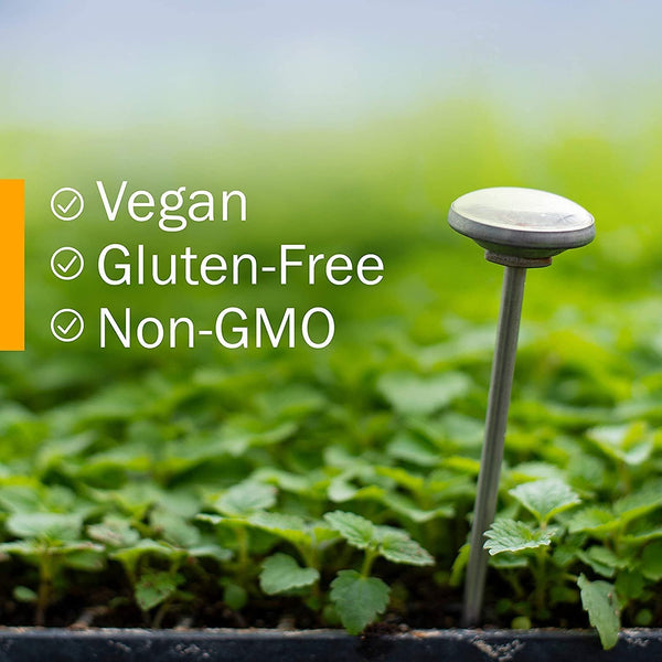 HERB PHARM - Brain and Memory Herbal Formula - 1 fl. oz. (29.6 ml)