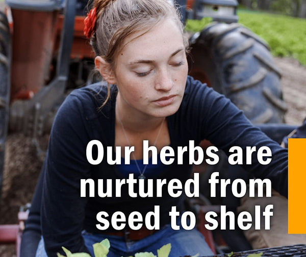 HERB PHARM - Brain and Memory Herbal Formula - 1 fl. oz. (29.6 ml)