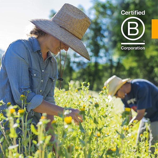 HERB PHARM - Brain and Memory Herbal Formula - 1 fl. oz. (29.6 ml)