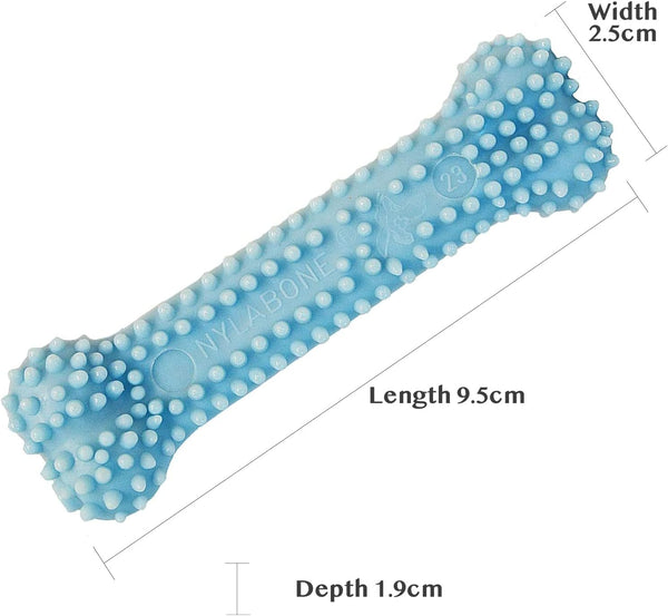 NYLABONE - Chicken Flavored Puppy Chew Textured Teething Bone - 4" Long