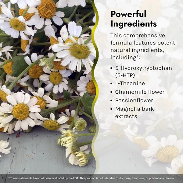 IRWIN NATURALS - Power to Sleep PM Melatonin Free - 50 Softgels