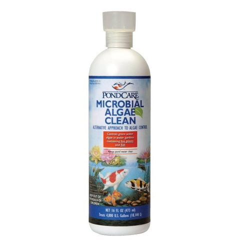 Aquarium Pharmaceuticals - PondCare Microbial Algae Clean - 16 fl. oz.