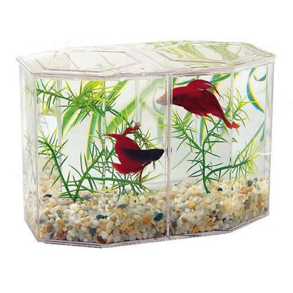 LEE'S - Betta Keeper Kit, Large
