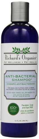 SYNERGY - Anti-Bacterial Shampoo with Tea Tree Oil and Neem Oil