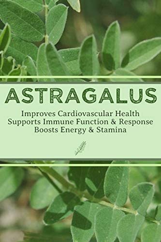 Bravo Teas & Herbs Absolute Tea Bag